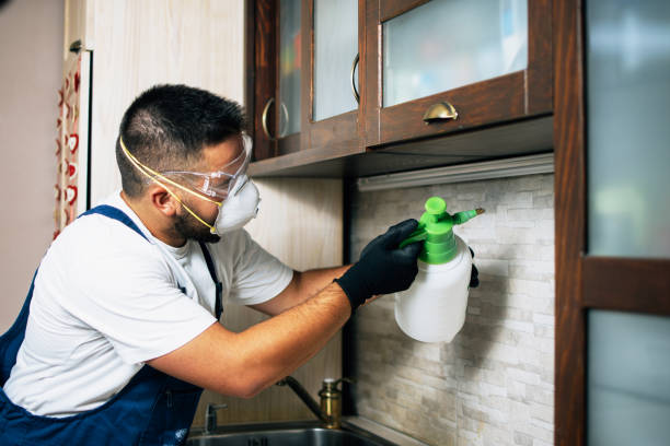 Best Pest Prevention Services  in Ayden, NC